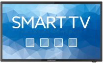 MegaSat Royal Line III 19 Smart LED TV