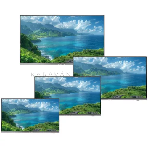 MegaSat Royal Line V 22 Smart LED TV