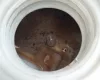 Abtycam frissvíz-tartály tisztítószer, 0,5 kg